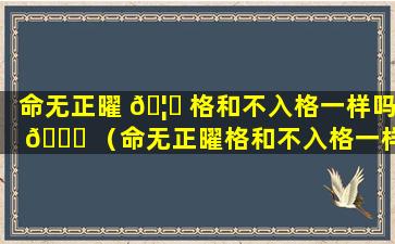 命无正曜 🦅 格和不入格一样吗 🐝 （命无正曜格和不入格一样吗为什么）